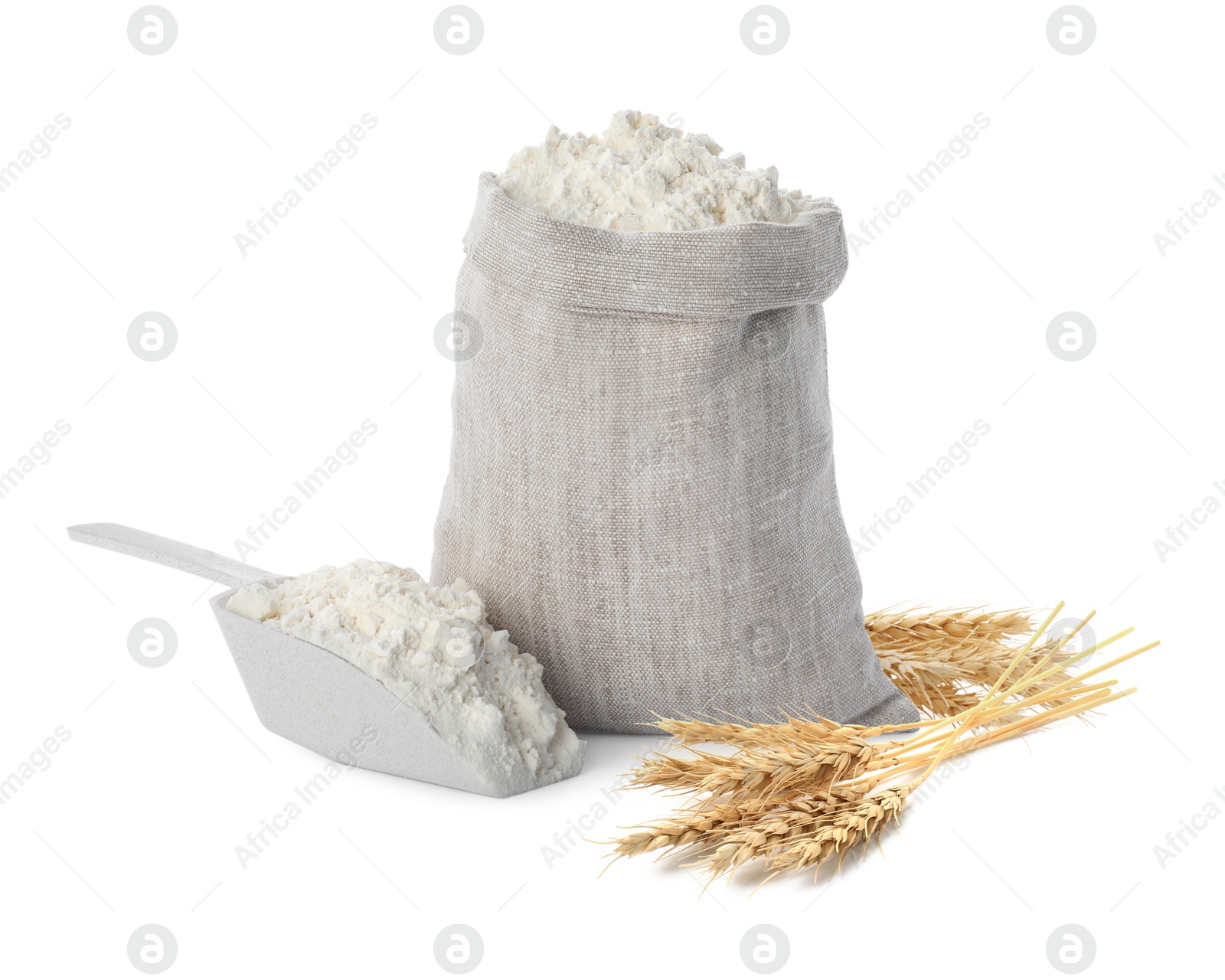 Image of Wheat flour and spikelets on white background