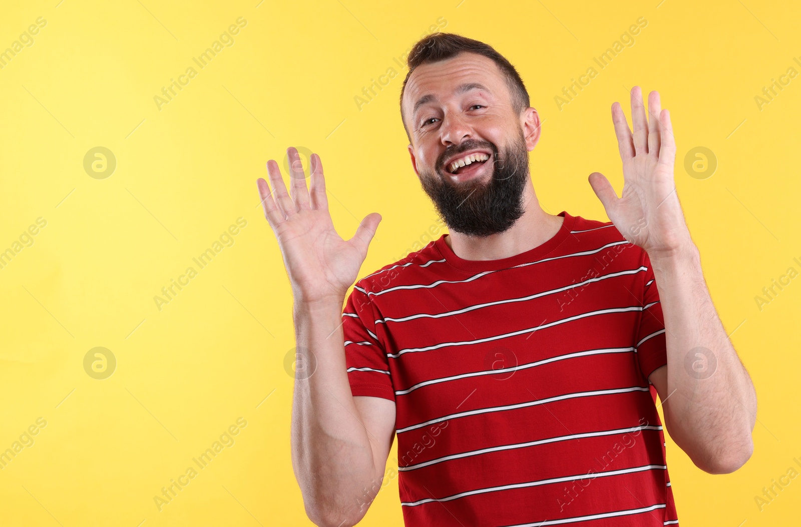 Photo of Handsome man laughing on yellow background. Positive emotion