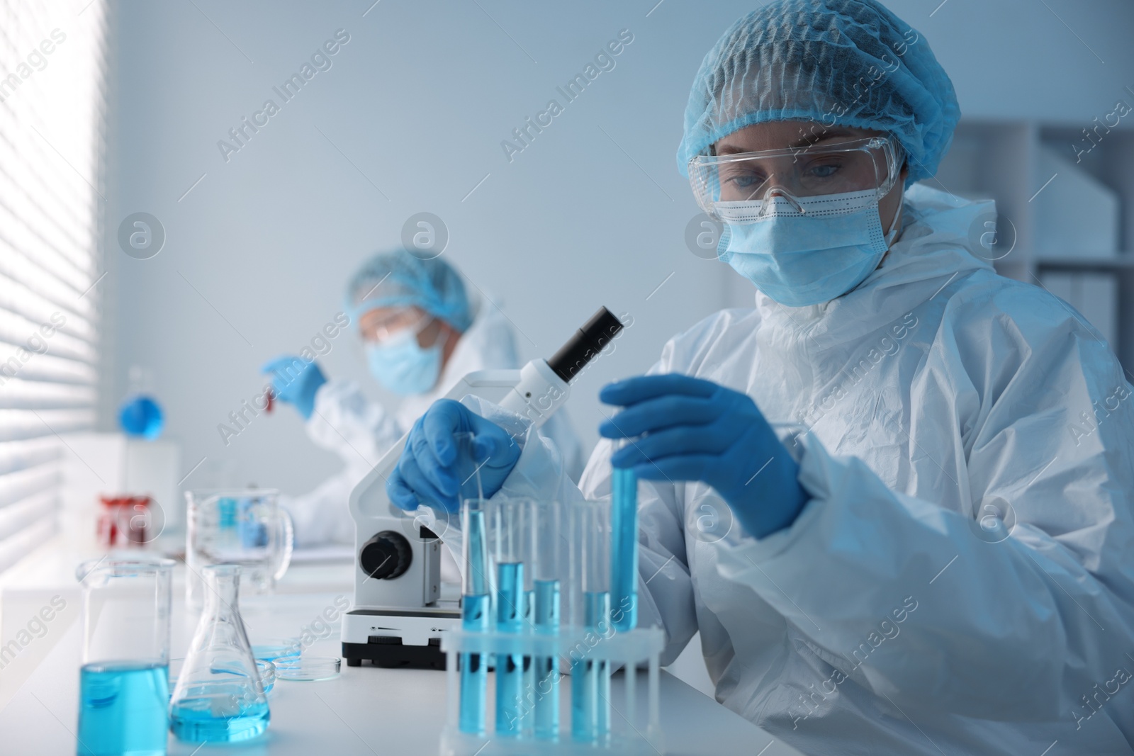 Medical analysis. Scientists working with samples in laboratory, selective focus Photo of Medical analysis. Scientists working with samples in laboratory, selective focus