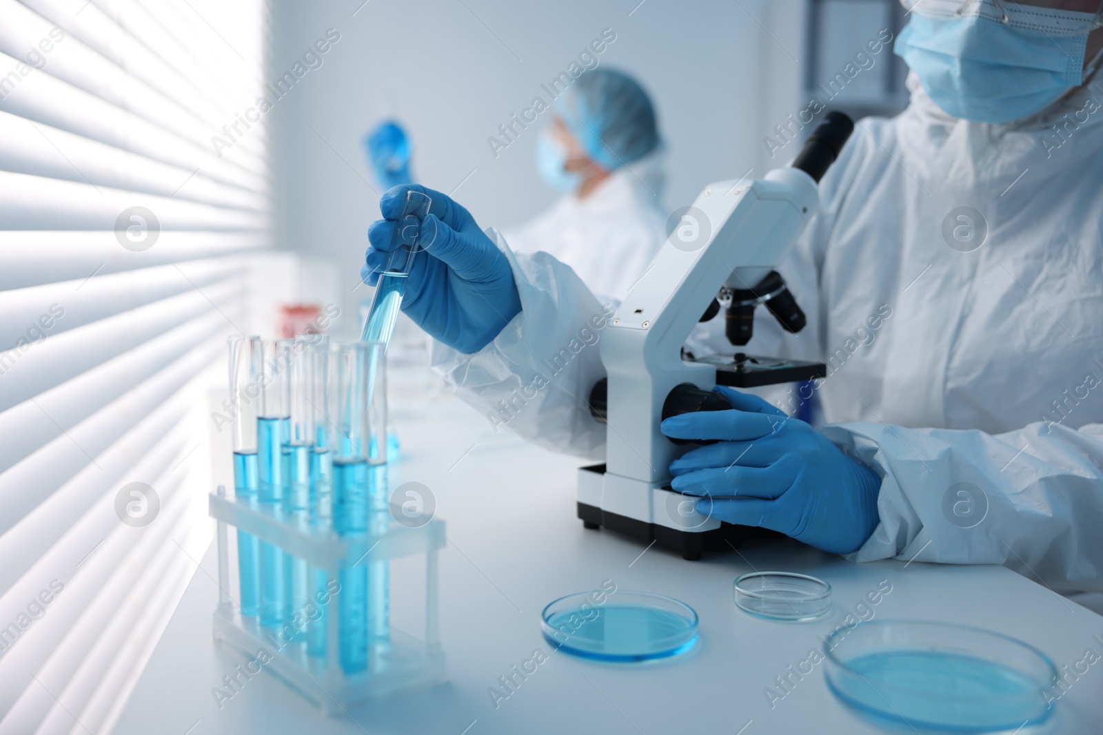Medical analysis. Scientists working with samples in laboratory, selective focus Photo of Medical analysis. Scientists working with samples in laboratory, selective focus