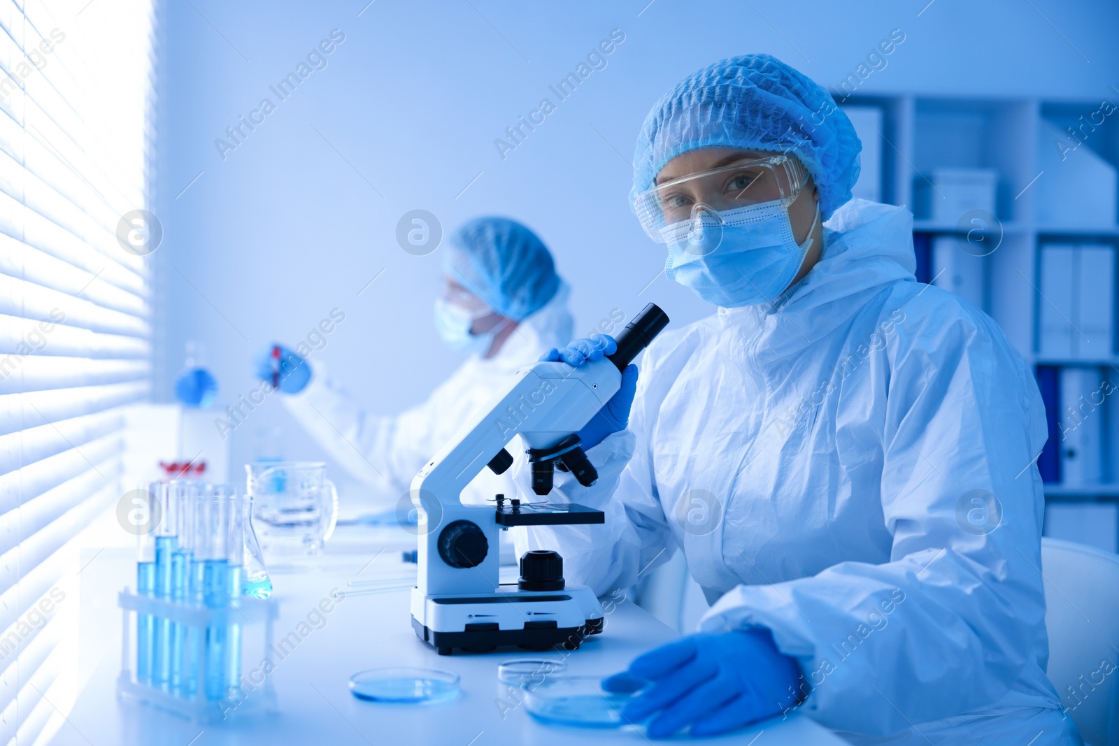 Medical analysis. Scientists working with samples in laboratory, selective focus Photo of Medical analysis. Scientists working with samples in laboratory, selective focus