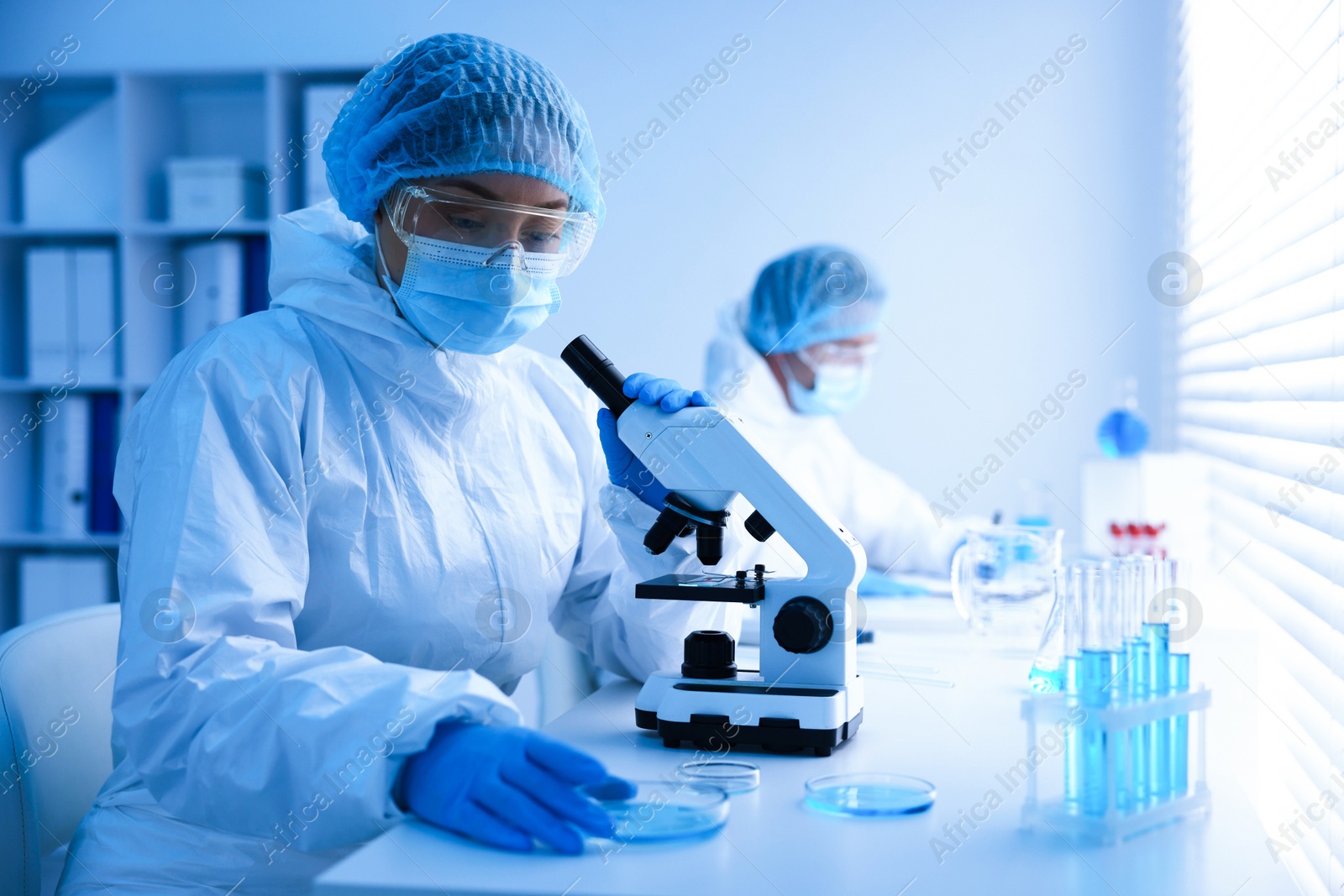 Medical analysis. Scientists working with samples in laboratory, selective focus Photo of Medical analysis. Scientists working with samples in laboratory, selective focus