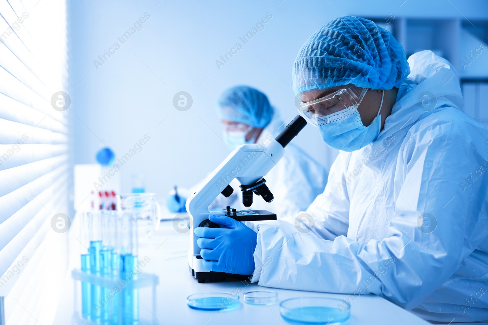Medical analysis. Scientists working with samples in laboratory, selective focus Photo of Medical analysis. Scientists working with samples in laboratory, selective focus