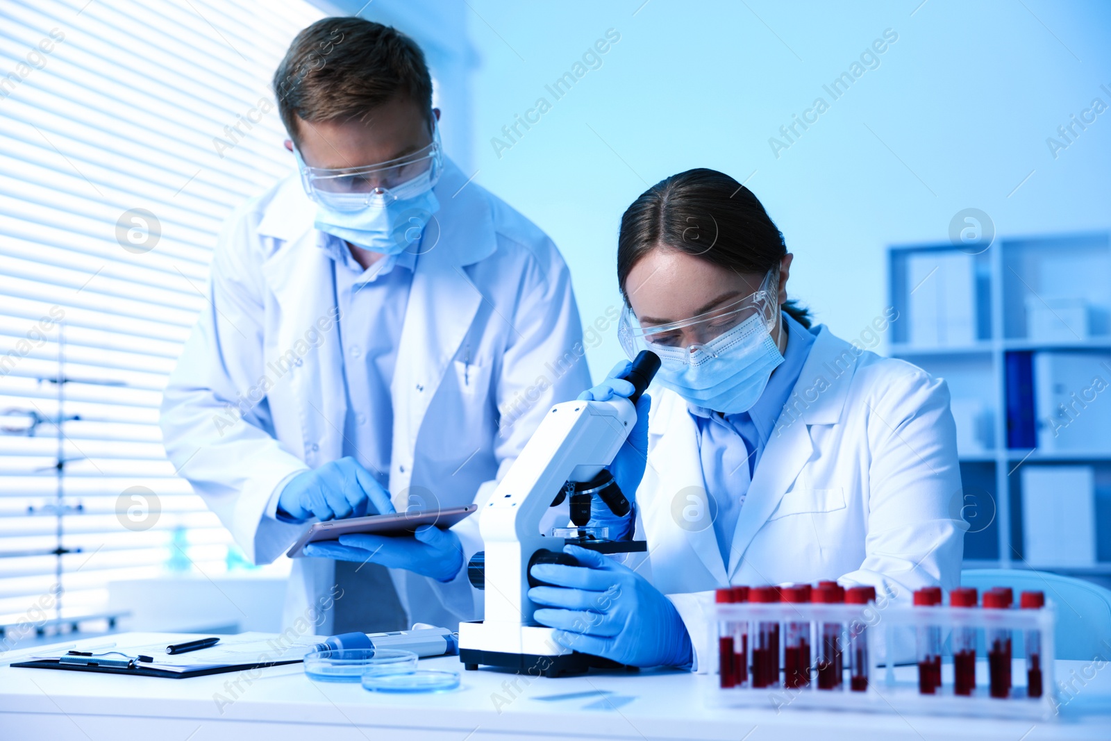 Medical analysis. Scientists working with microscope in laboratory Photo of Medical analysis. Scientists working with microscope in laboratory