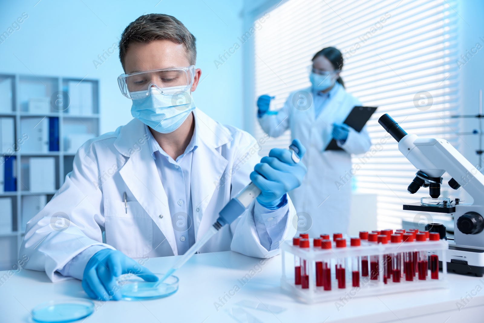 Medical analysis. Scientist working with sample in laboratory, selective focus Photo of Medical analysis. Scientist working with sample in laboratory, selective focus