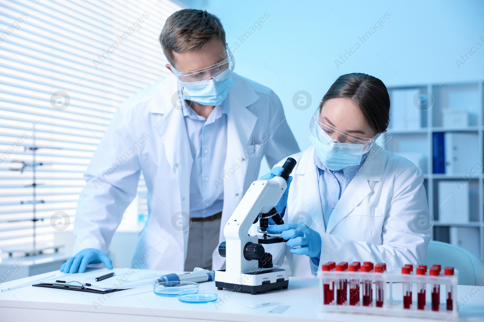 Medical analysis. Scientists working with microscope in laboratory Photo of Medical analysis. Scientists working with microscope in laboratory