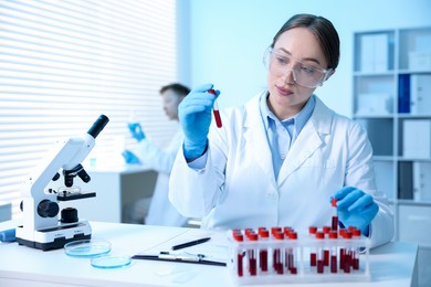 Photo of Medical analysis. Scientist working with blood samples in laboratory, selective focus