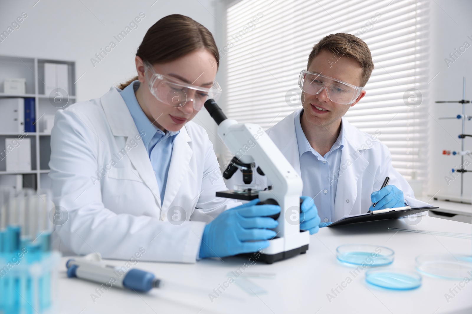 Medical analysis. Scientists working with microscope in laboratory Photo of Medical analysis. Scientists working with microscope in laboratory