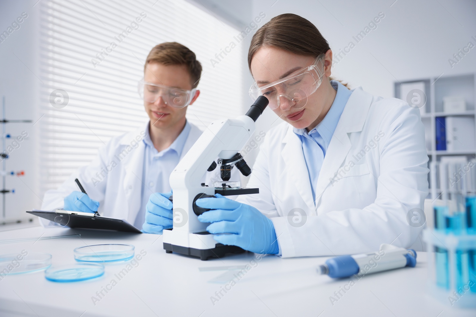 Medical analysis. Scientists working with microscope in laboratory Photo of Medical analysis. Scientists working with microscope in laboratory