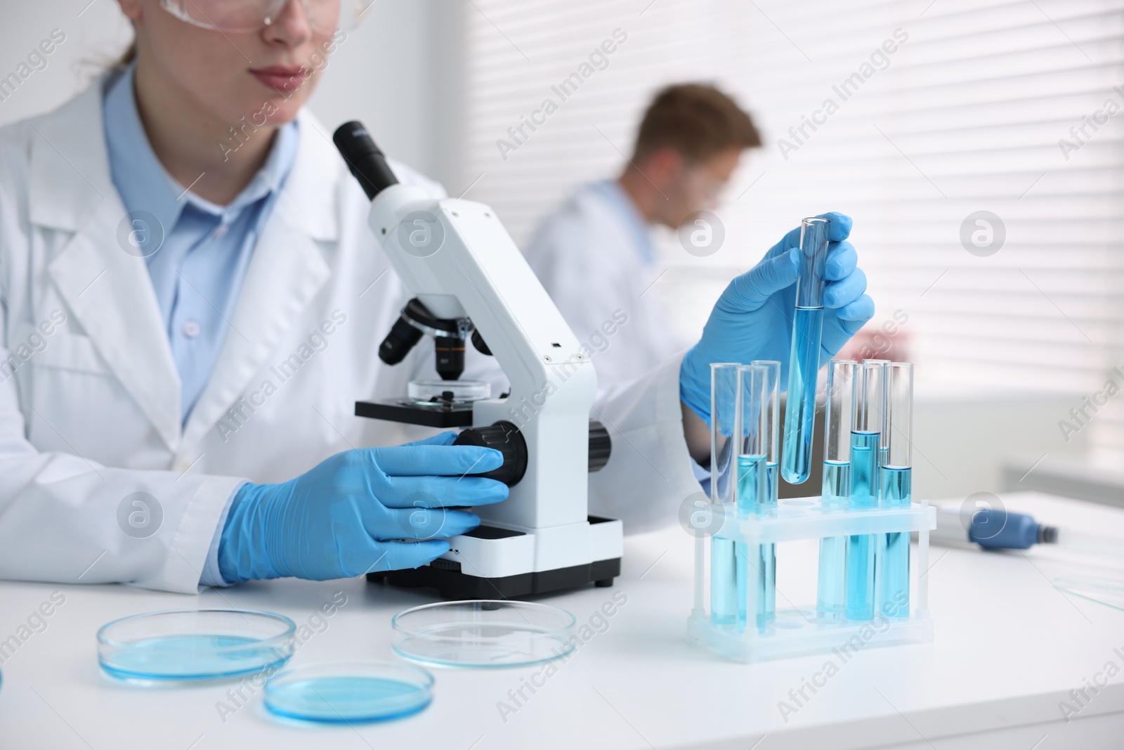 Medical analysis. Scientist working with sample in laboratory, selective focus Photo of Medical analysis. Scientist working with sample in laboratory, selective focus