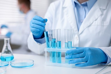Photo of Medical analysis. Scientist working with samples in laboratory, selective focus