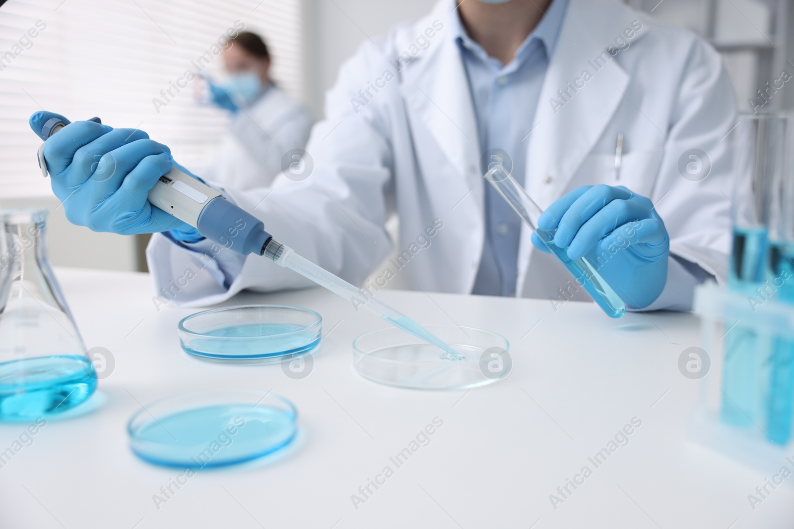 Medical analysis. Scientist working with sample in laboratory, selective focus Photo of Medical analysis. Scientist working with sample in laboratory, selective focus