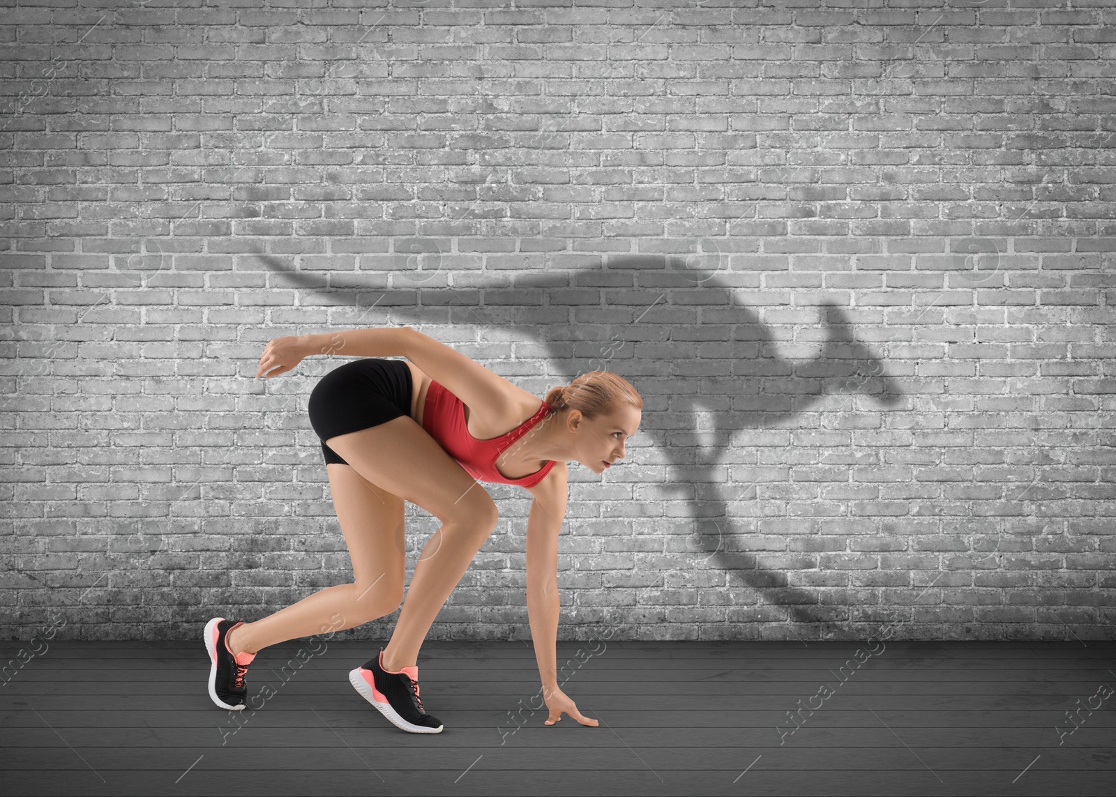 Athletic young woman on starting position for run. Her shadow in form of kangaroo on grey brick wall. Sports poster Image of Athletic young woman on starting position for run. Her shadow in form of kangaroo on grey brick wall. Sports poster