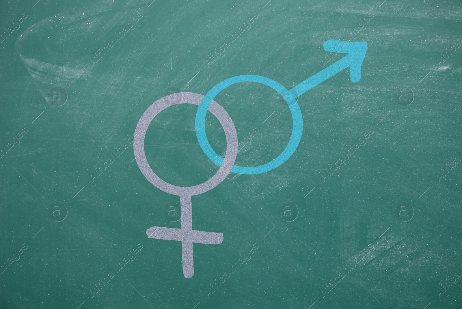 Sex education. Female and male gender signs on green chalkboard Image of Sex education. Female and male gender signs on green chalkboard