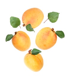 Image of Fresh juicy apricots in air against white background