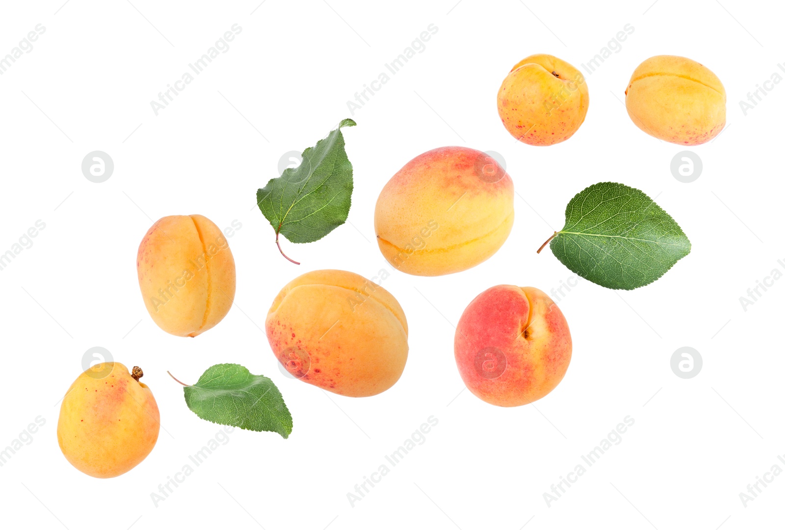 Image of Fresh juicy apricots flying against white background
