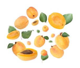 Image of Fresh juicy apricots swirling in air against white background
