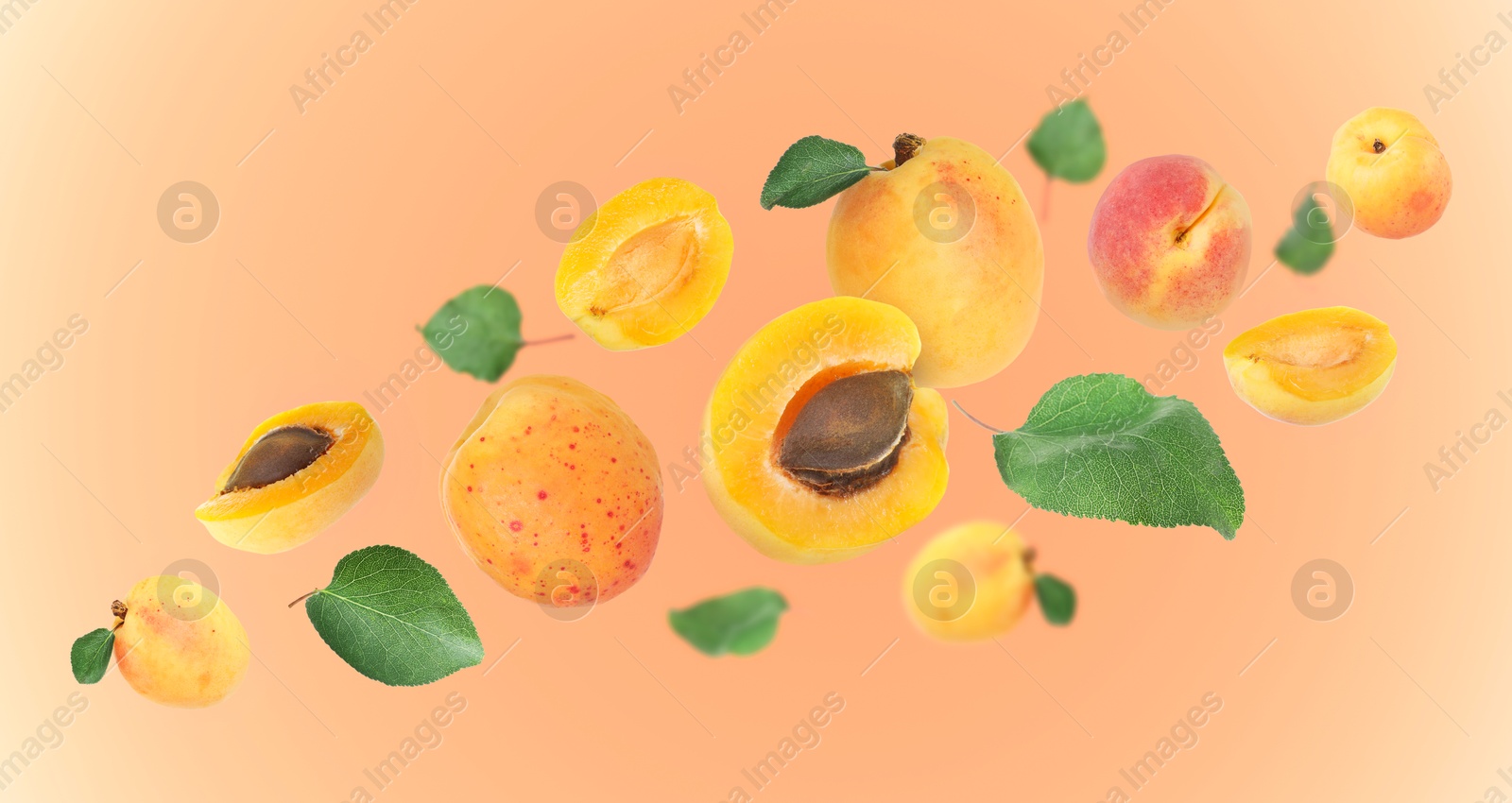 Image of Fresh juicy apricots flying against pink gradient background