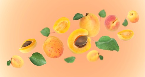 Image of Fresh juicy apricots flying against pink gradient background