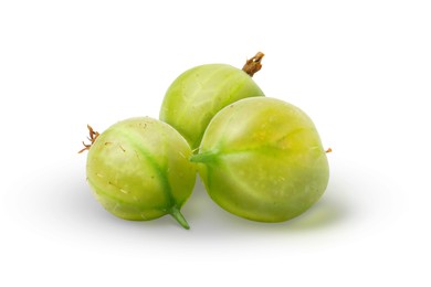 Image of Fresh green gooseberries isolated on white. Summer berry