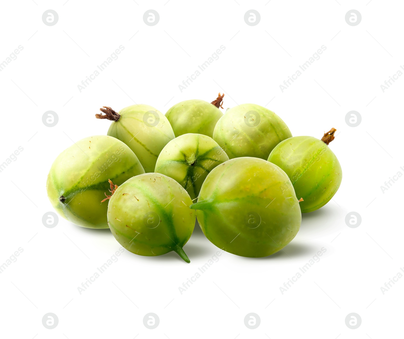 Fresh green gooseberries isolated on white. Summer berry Image of Fresh green gooseberries isolated on white. Summer berry