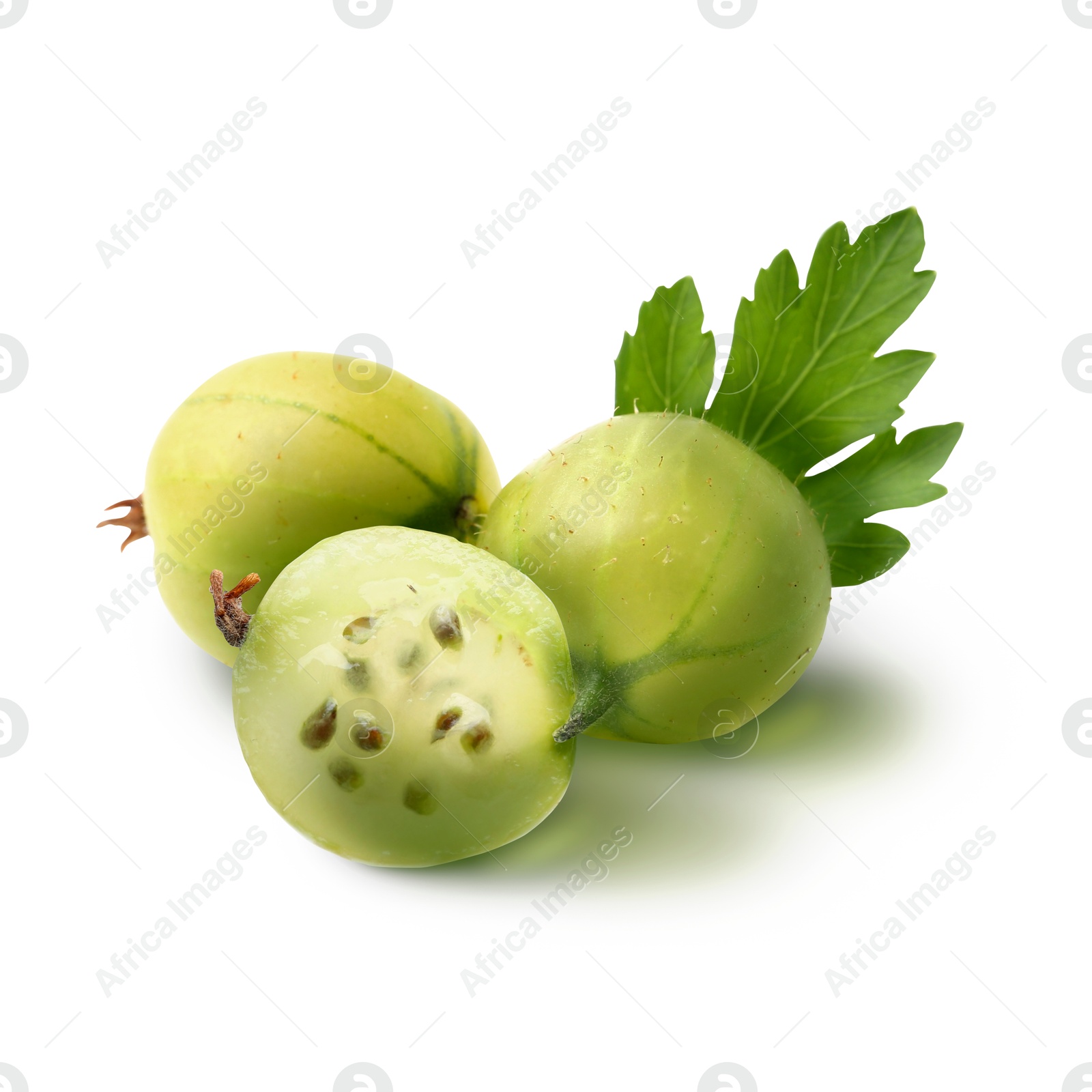 Fresh green gooseberries isolated on white. Summer berry Image of Fresh green gooseberries isolated on white. Summer berry