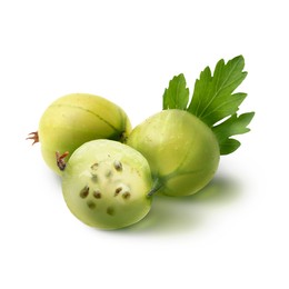 Image of Fresh green gooseberries isolated on white. Summer berry