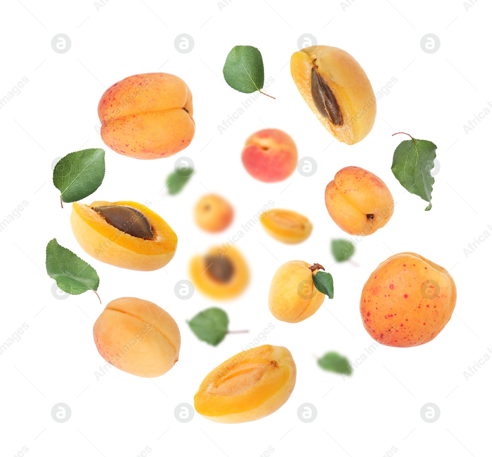 Image of Fresh juicy apricots swirling in air against white background
