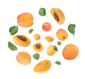 Image of Fresh juicy apricots swirling in air against white background