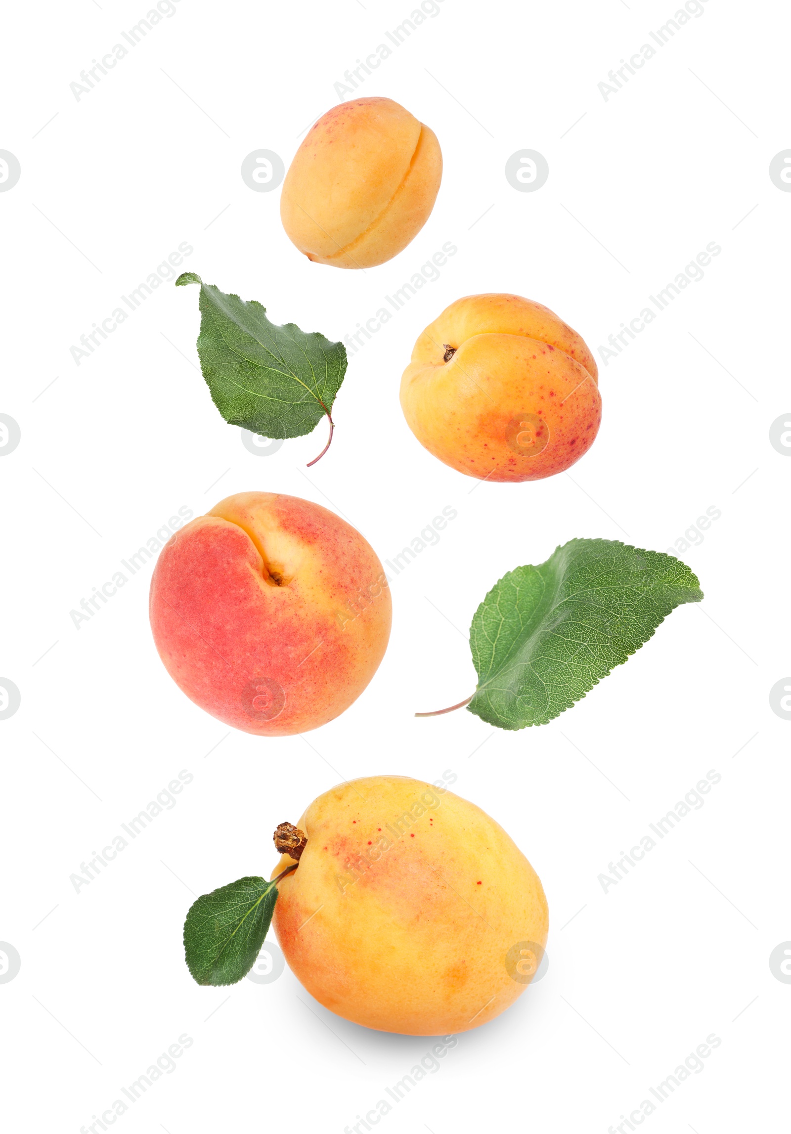 Image of Fresh juicy apricots falling against white background