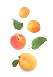 Image of Fresh juicy apricots falling against white background