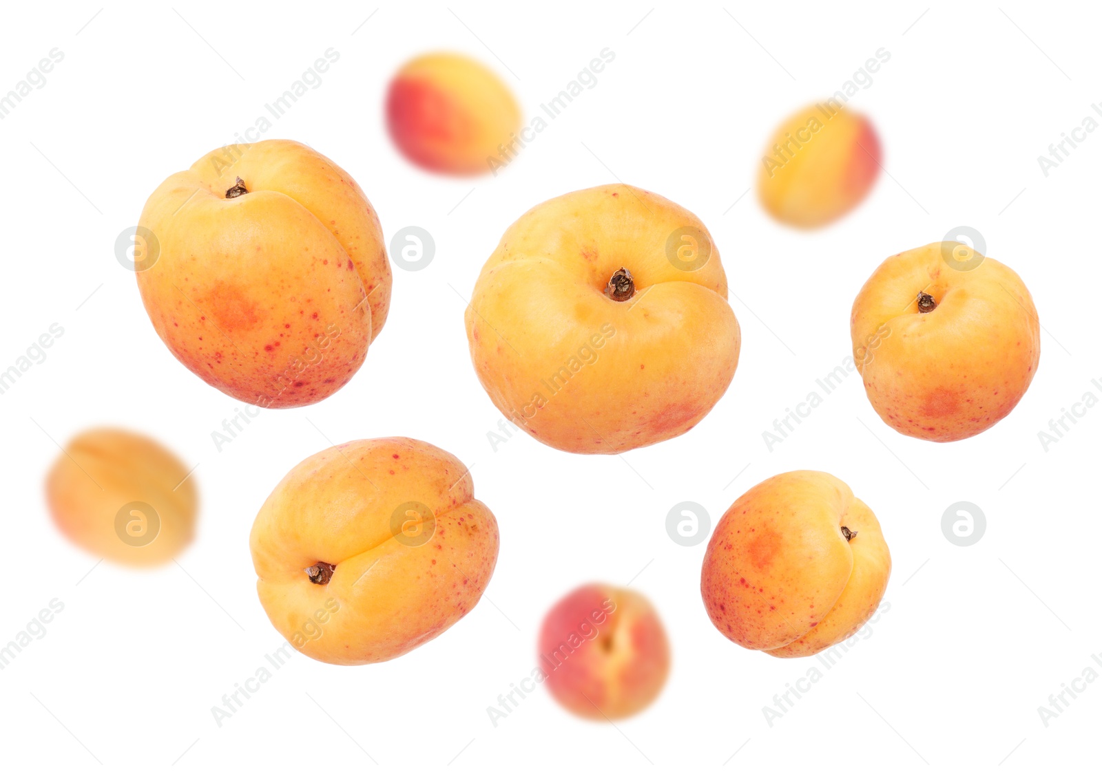 Image of Fresh juicy apricots swirling in air against white background