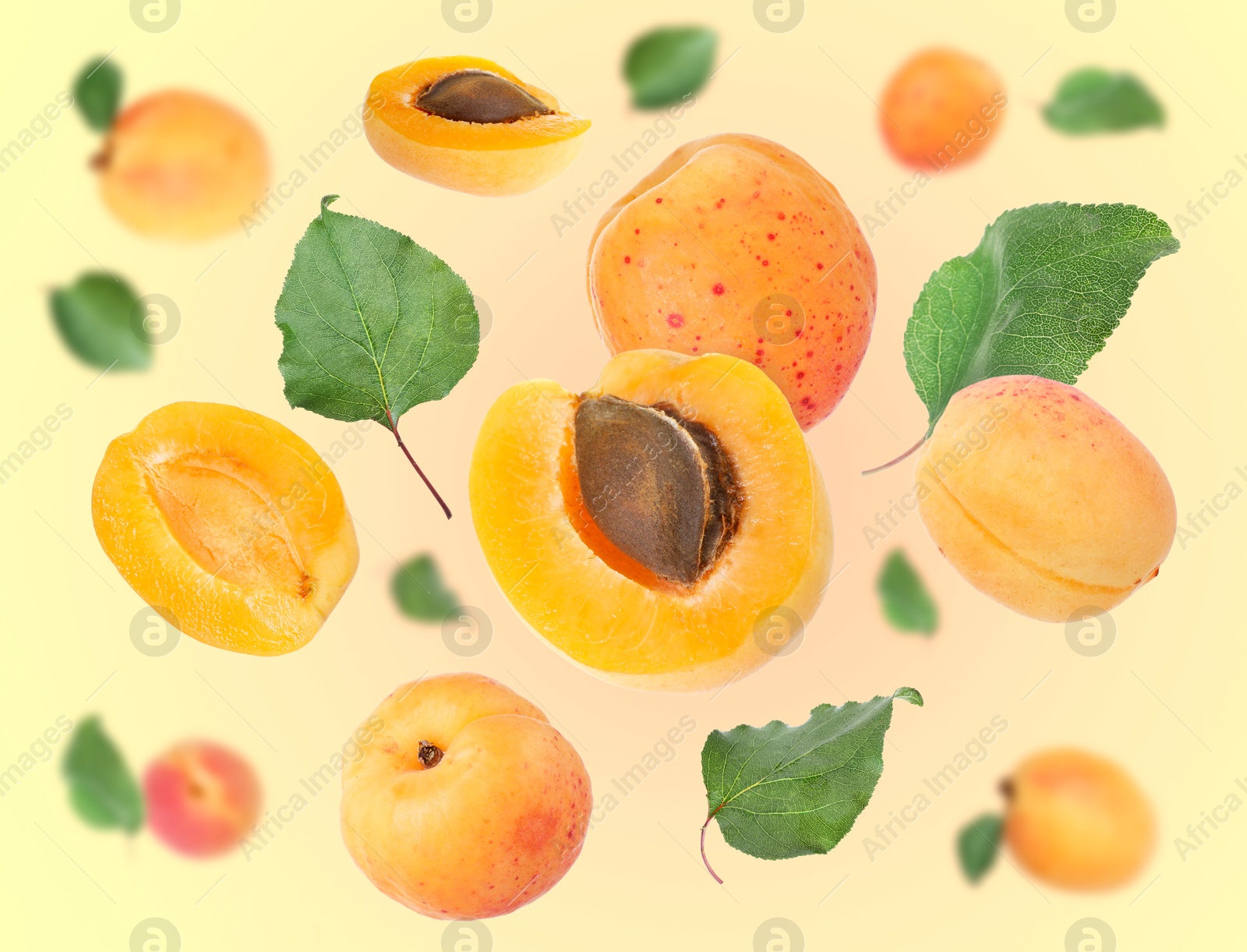 Image of Fresh juicy apricots swirling in air against color gradient background