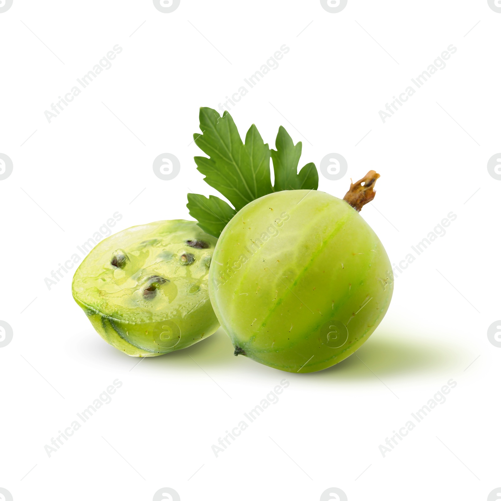 Fresh green gooseberries isolated on white. Summer berry Image of Fresh green gooseberries isolated on white. Summer berry