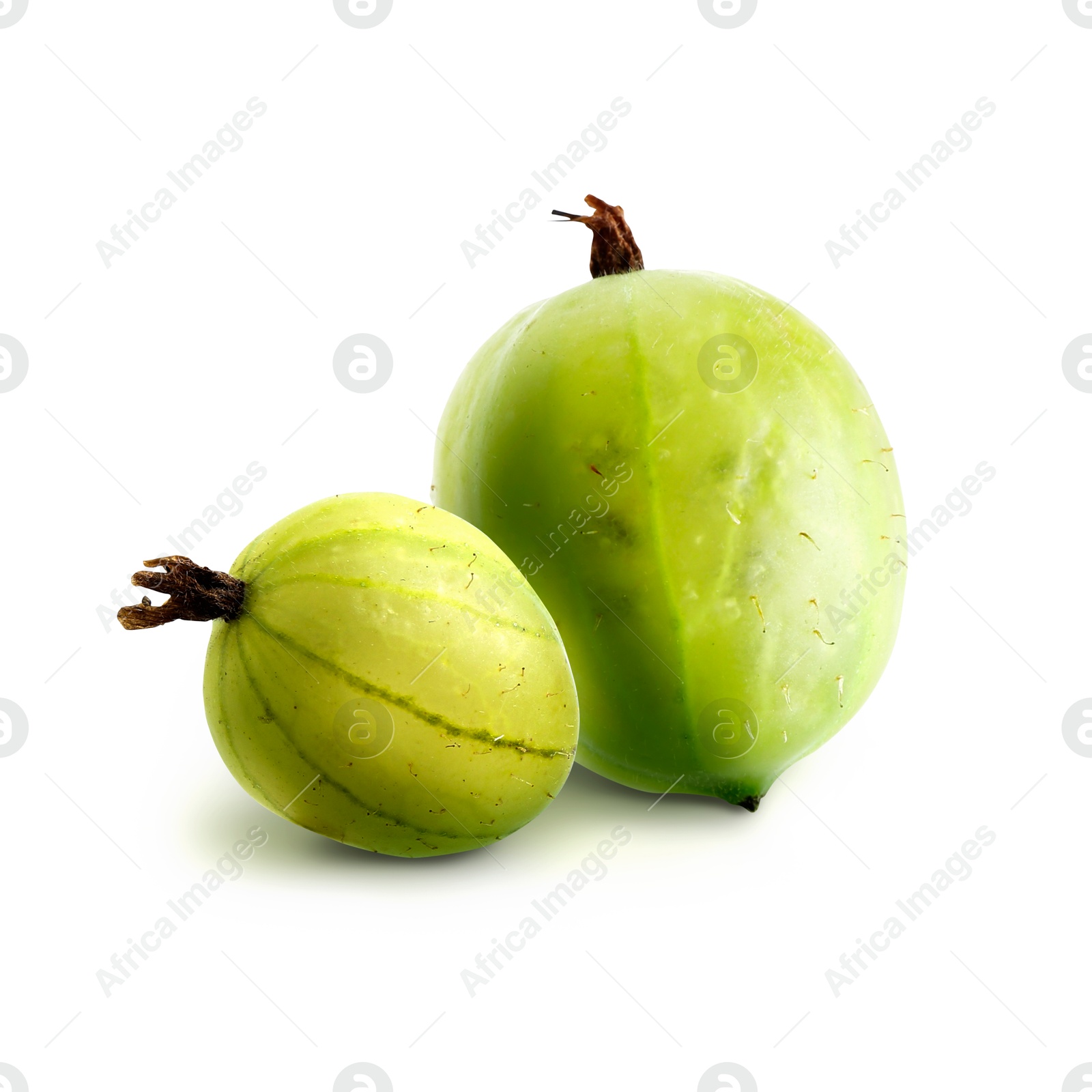 Image of Fresh green gooseberries isolated on white. Summer berry