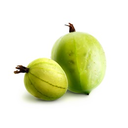 Image of Fresh green gooseberries isolated on white. Summer berry