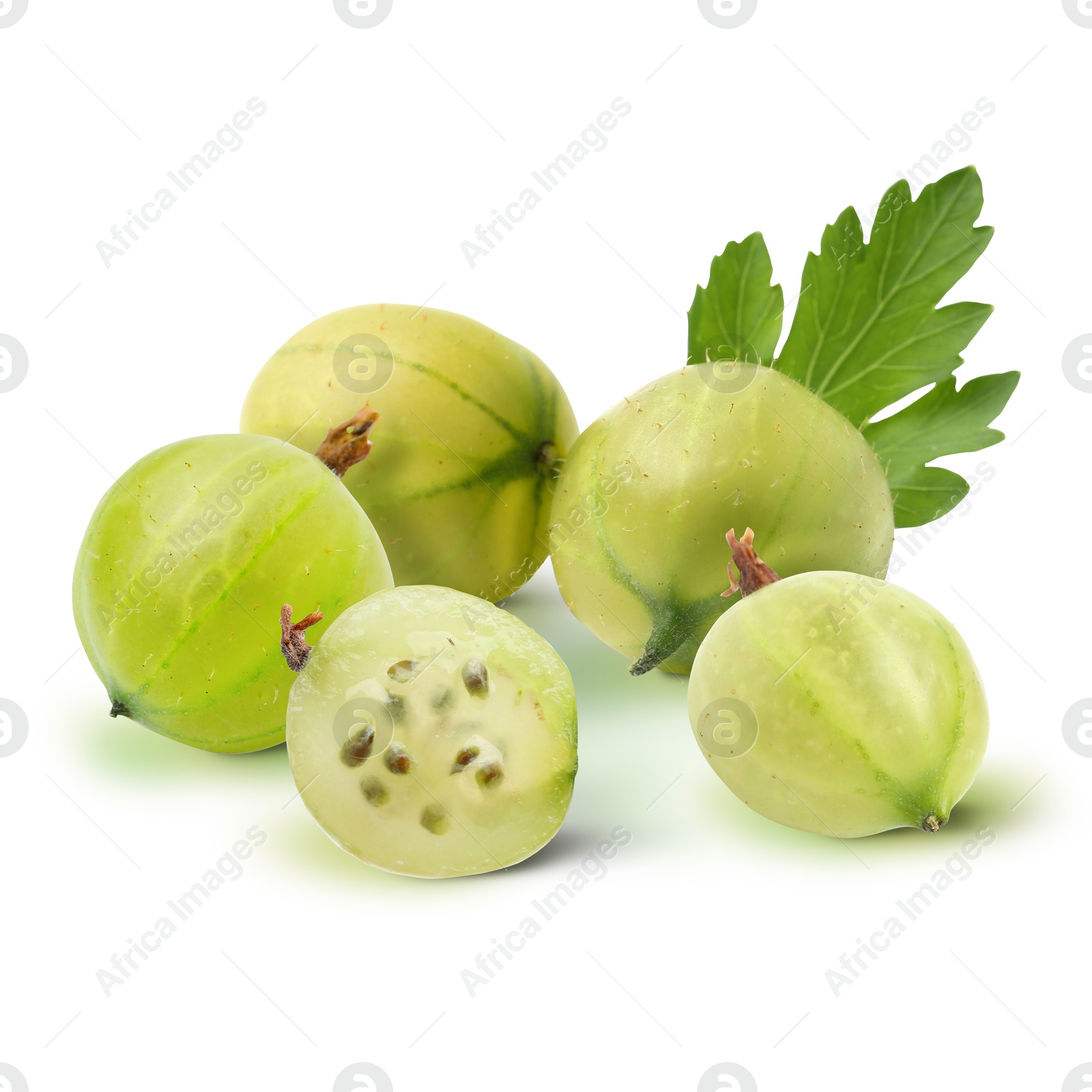 Fresh green gooseberries isolated on white. Summer berry Image of Fresh green gooseberries isolated on white. Summer berry