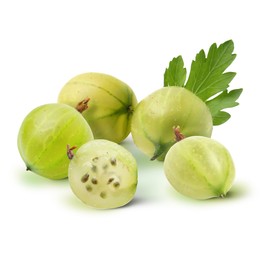 Image of Fresh green gooseberries isolated on white. Summer berry
