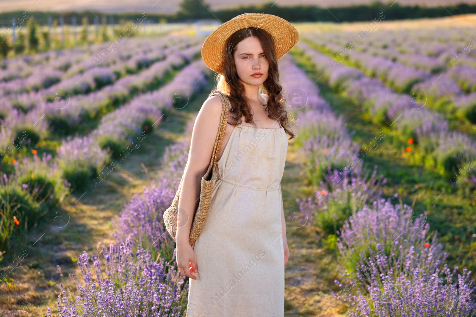 Portrait of beautiful young woman in lavender field Photo of Portrait of beautiful young woman in lavender field