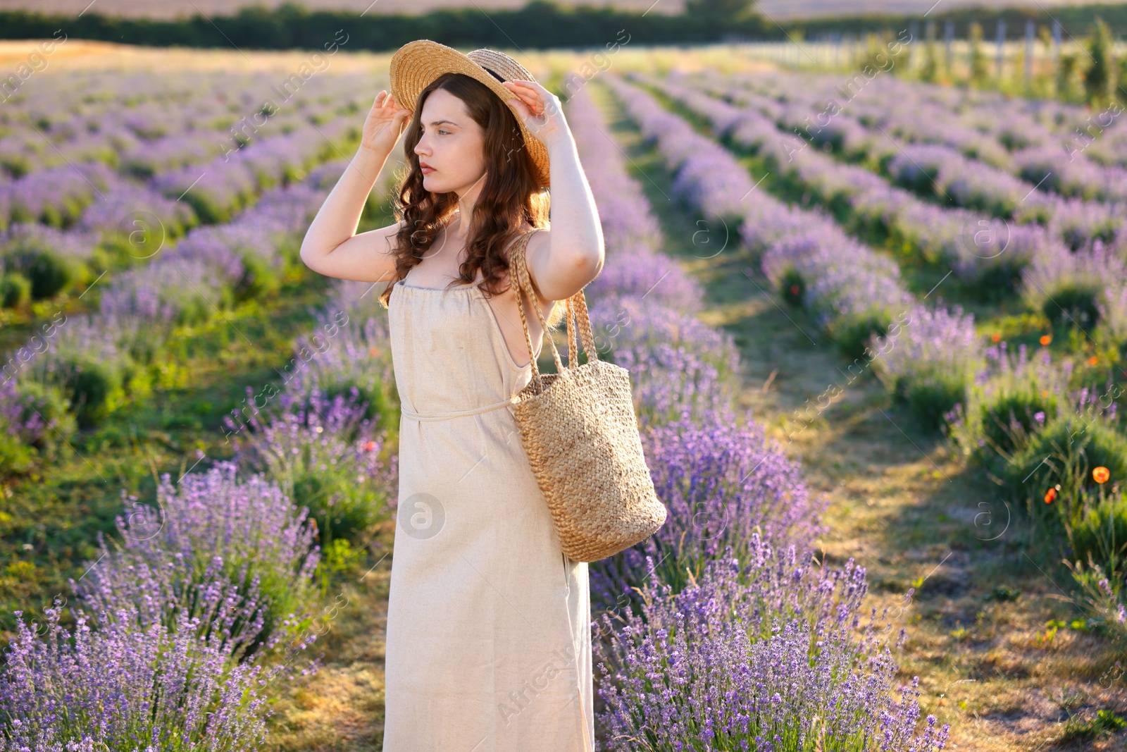 Photo of Portrait of beautiful young woman in lavender field