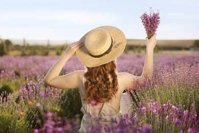 Photo of Woman with beautiful lavender flowers in field, back view