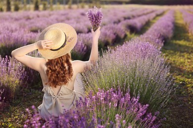 Photo of Woman with beautiful lavender flowers in field, back view