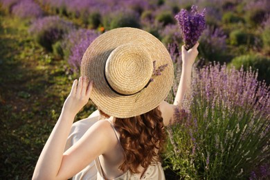 Photo of Woman with beautiful lavender flowers in field, back view