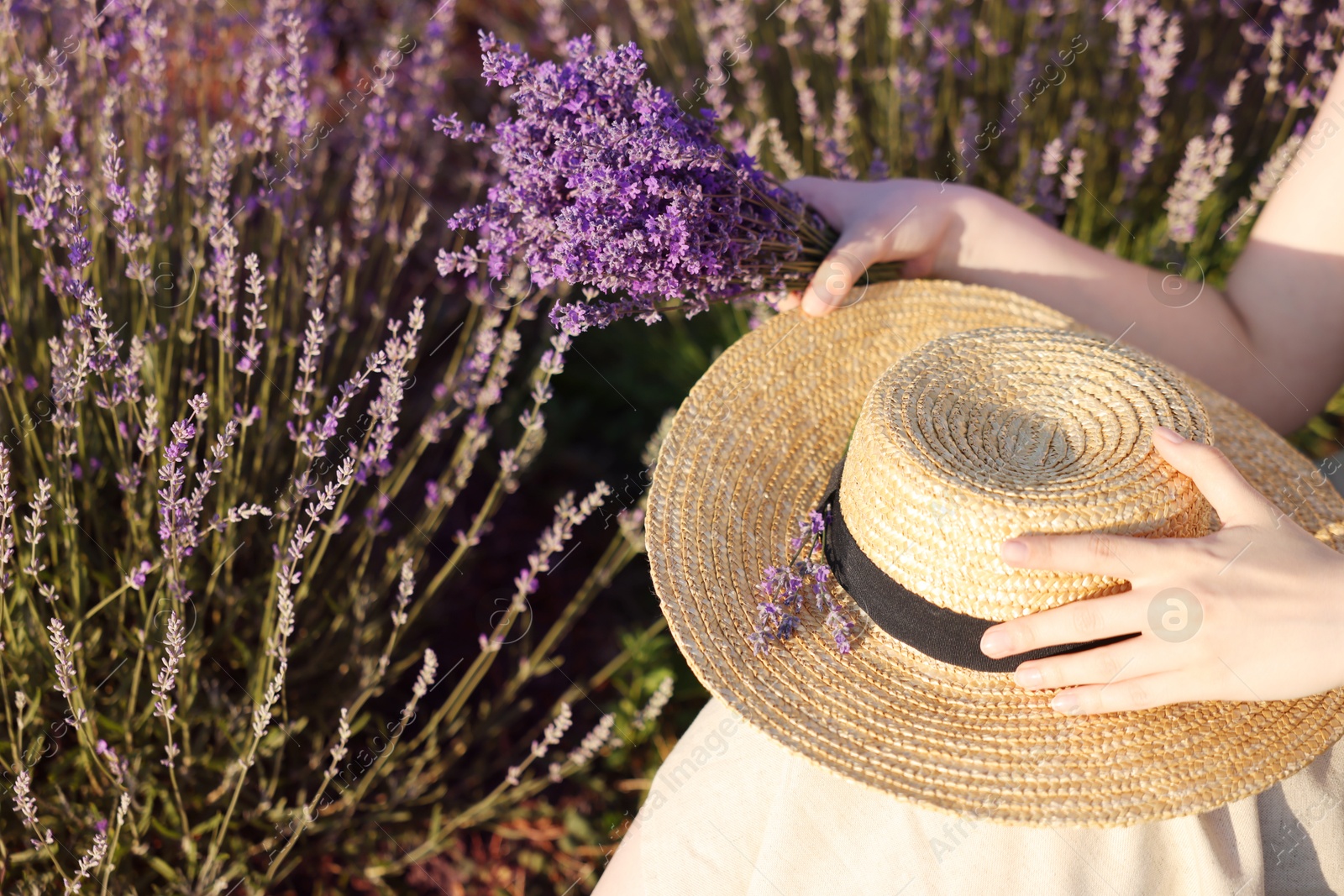 Woman with beautiful lavender flowers and straw hat in field, closeup Photo of Woman with beautiful lavender flowers and straw hat in field, closeup