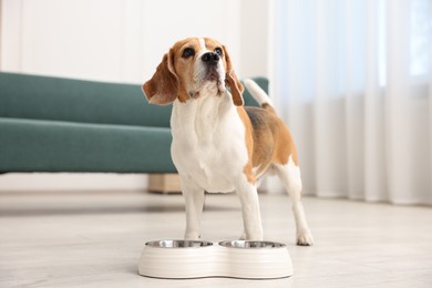 Photo of Cute Beagle dog near feeding bowl on floor at home
