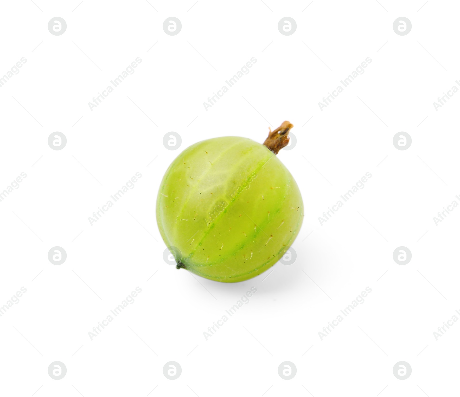 Photo of One fresh green gooseberry isolated on white