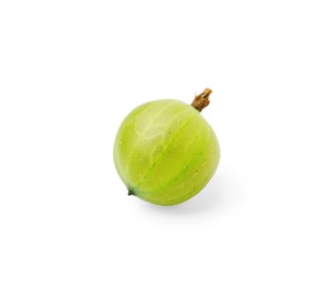 Photo of One fresh green gooseberry isolated on white
