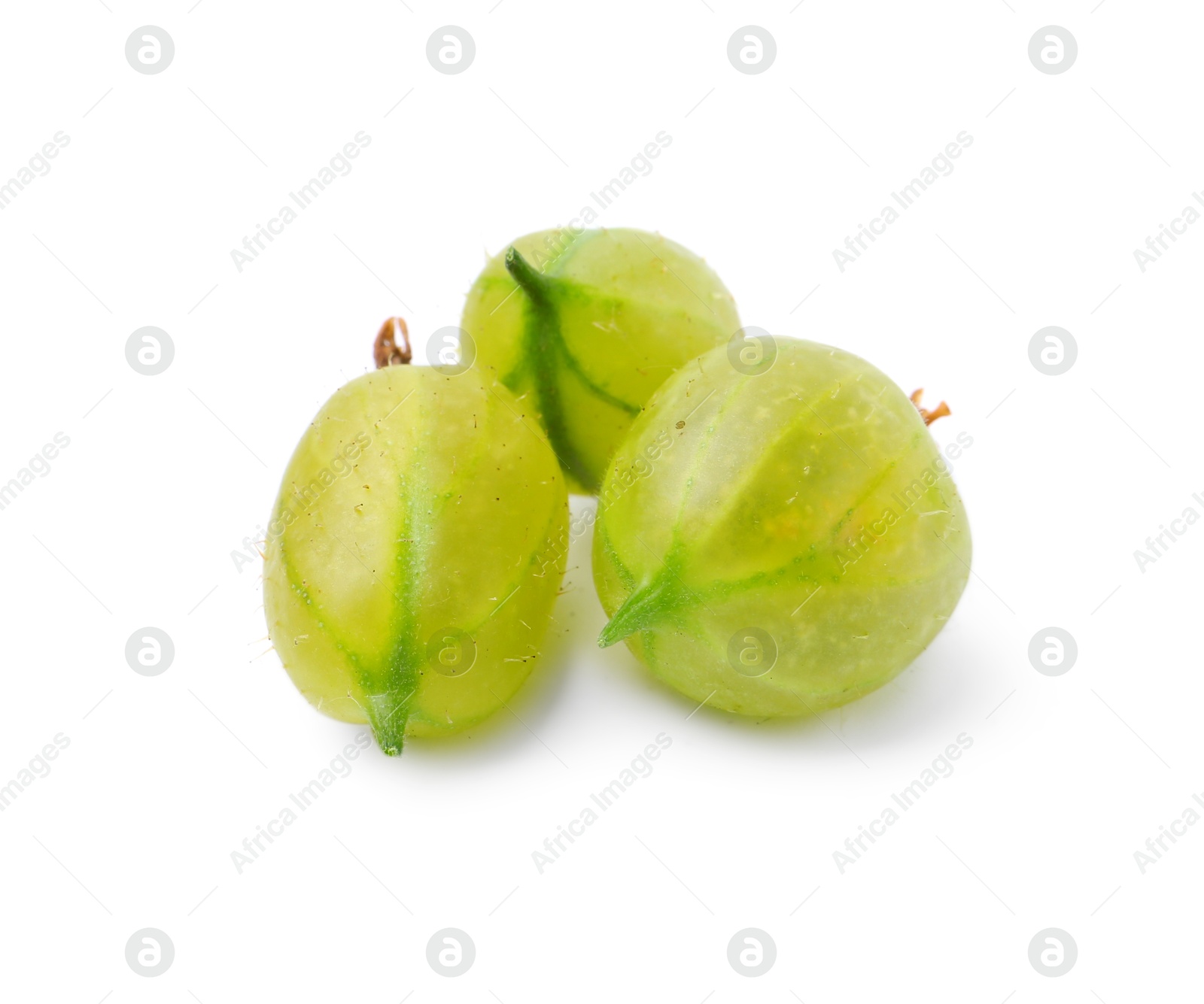 Three fresh green gooseberries isolated on white Photo of Three fresh green gooseberries isolated on white