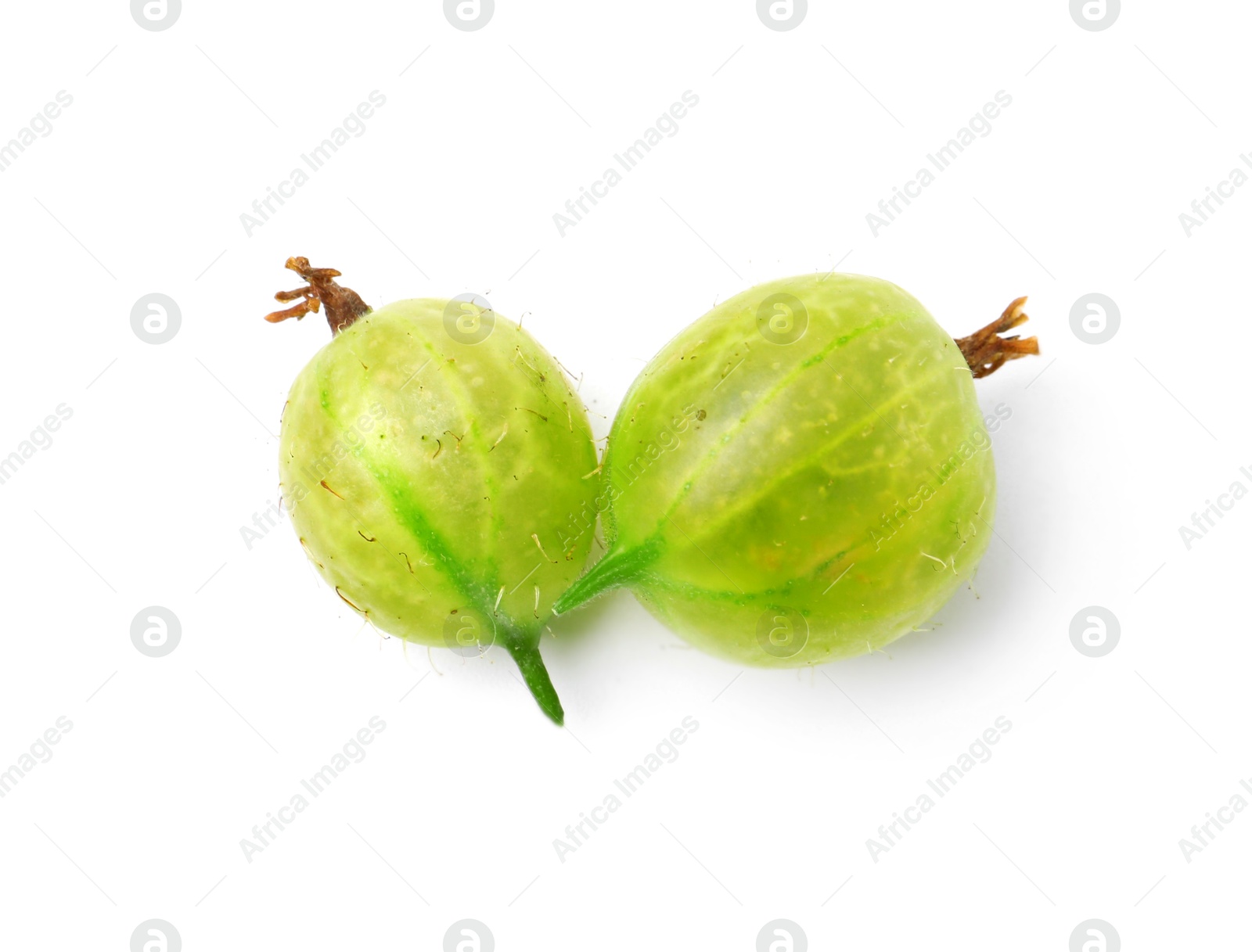 Photo of Two fresh green gooseberries isolated on white, above view