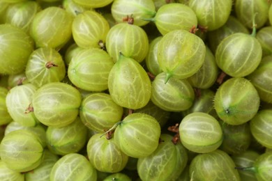 Photo of Many fresh green gooseberries as background, top view